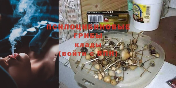 прущие грибы Арсеньев